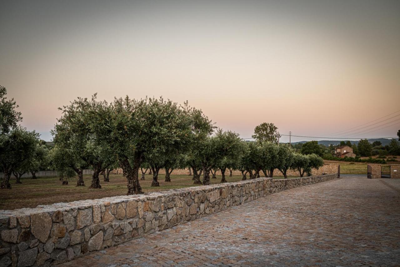 Quinta Das Oliveiras Turismo Rural Hotell Fundão Exteriör bild