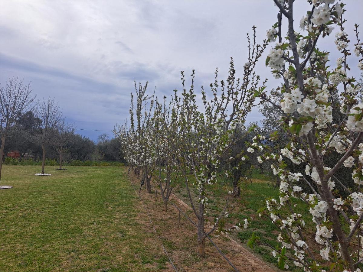 Quinta Das Oliveiras Turismo Rural Hotell Fundão Exteriör bild